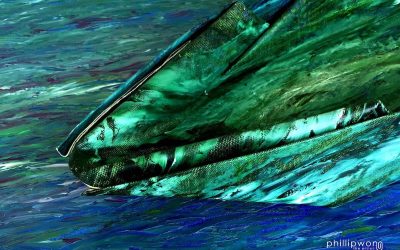 A solo exhibition by Phillip Wong – OCEAN : Reflections of the Human Mind, 2 FEB 20 SUNDAY 8PM at Sutra Gallery