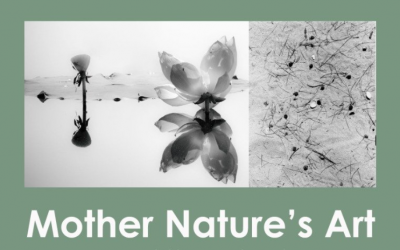 Mother Nature’s Art – Exhibition by Eric Peris & KF Choy