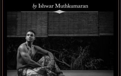 The Tanjore Quartets Diaries