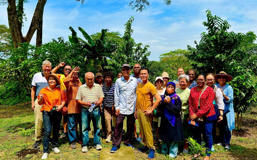 Back2Nature Regenerative farm, Kuala Pilah